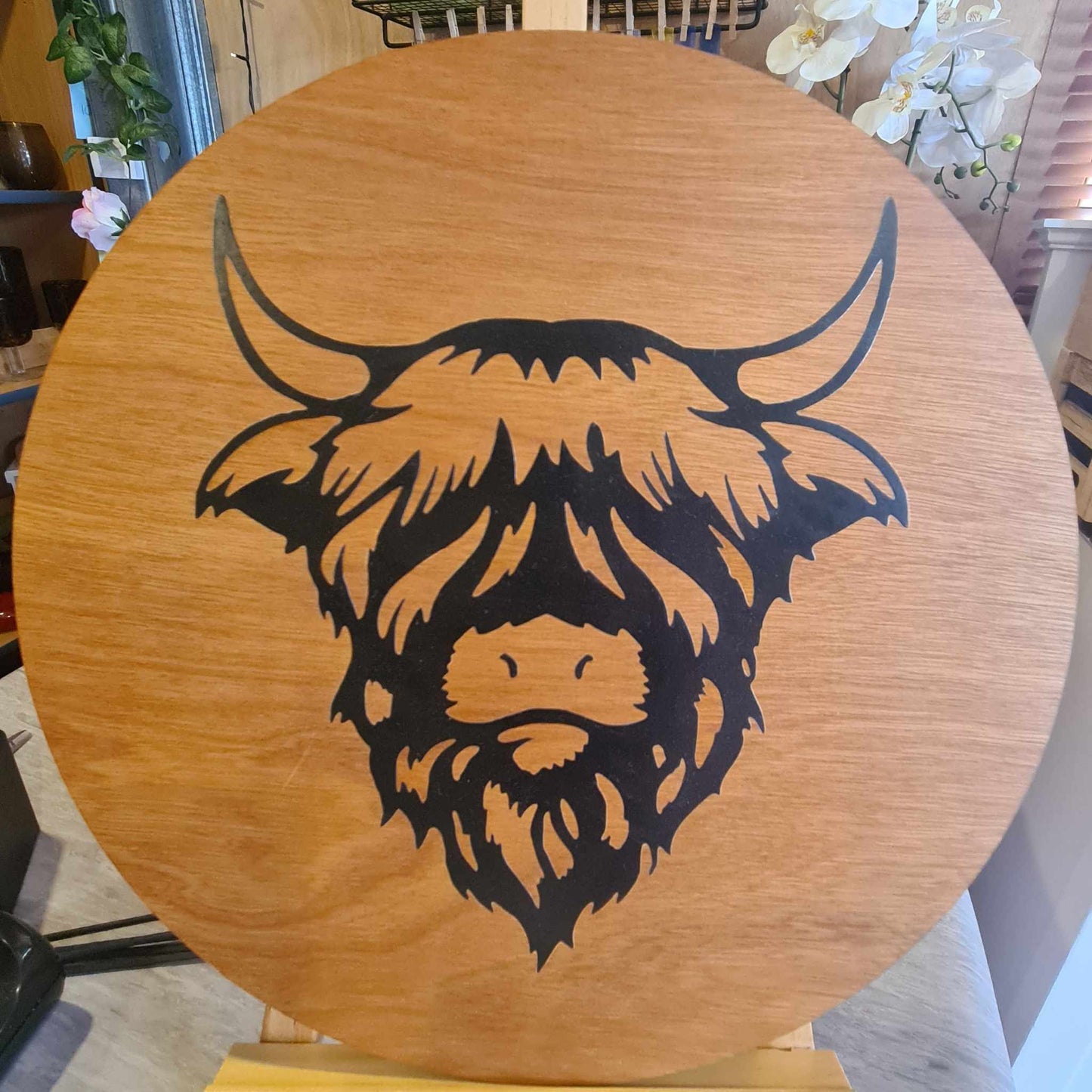 Highland Cow
